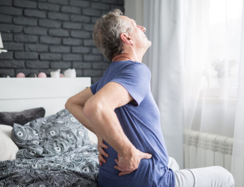 Easy Daily Stretches to Prevent Lower Back Pain